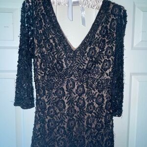 Beautiful Pissarro Nights beaded mesh dress.